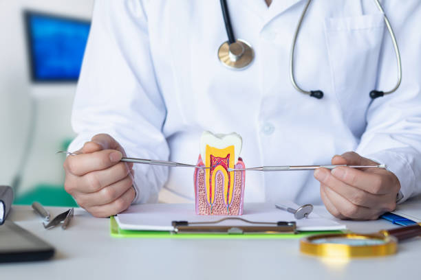 Best Emergency Broken Tooth Repair in Holly Hill, SC